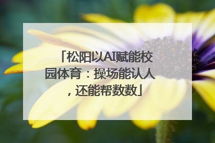 松阳以AI赋能校园体育：操场能认人，还能帮数数