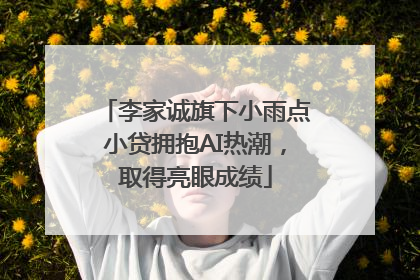 李家诚旗下小雨点小贷拥抱AI热潮，取得亮眼成绩