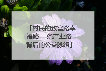 村民的致富路幸福路 一条产业路背后的公益脉络