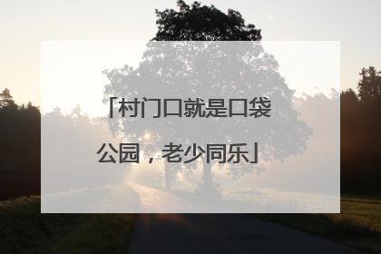 村门口就是口袋公园，老少同乐