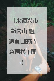 来德兴市新岗山 邂逅夏日的诗意画卷（图）