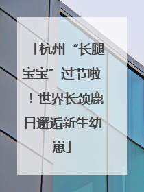 杭州“长腿宝宝”过节啦！世界长颈鹿日邂逅新生幼崽