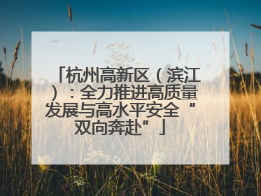 杭州高新区（滨江）：全力推进高质量发展与高水平安全“双向奔赴”
