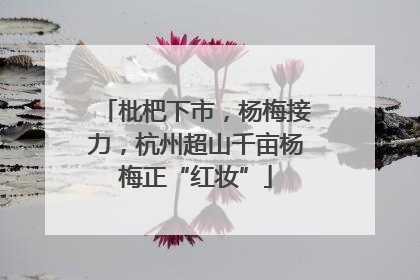 枇杷下市，杨梅接力，杭州超山千亩杨梅正“红妆”