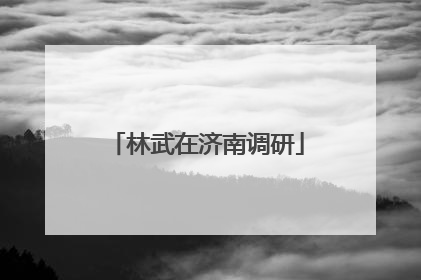 林武在济南调研