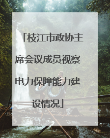 枝江市政协主席会议成员视察电力保障能力建设情况