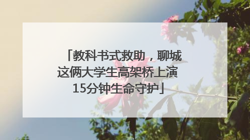 教科书式救助，聊城这俩大学生高架桥上演15分钟生命守护