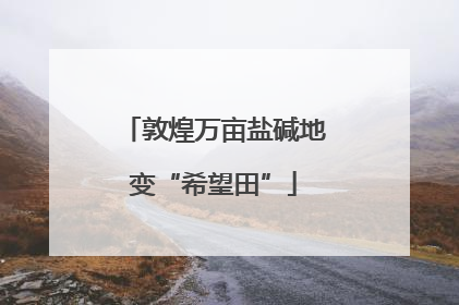 敦煌万亩盐碱地变“希望田”