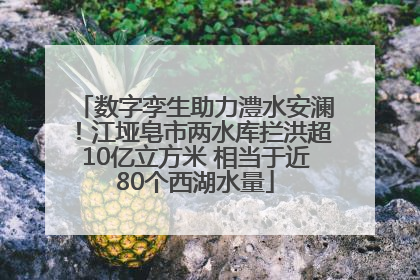 数字孪生助力澧水安澜！江垭皂市两水库拦洪超10亿立方米 相当于近80个西湖水量
