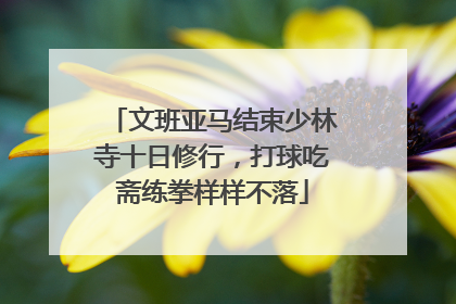 文班亚马结束少林寺十日修行，打球吃斋练拳样样不落