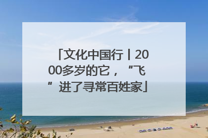 文化中国行丨2000多岁的它，“飞”进了寻常百姓家