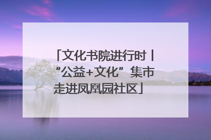 文化书院进行时丨“公益+文化”集市走进凤凰园社区