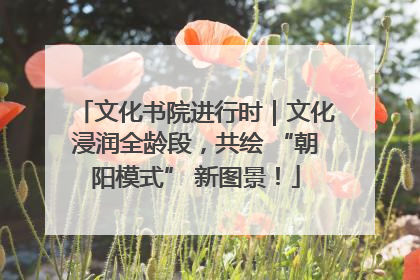 文化书院进行时｜文化浸润全龄段，共绘 “朝阳模式” 新图景！