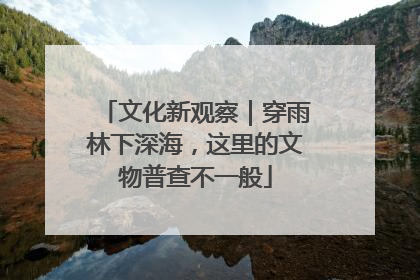 文化新观察｜穿雨林下深海，这里的文物普查不一般