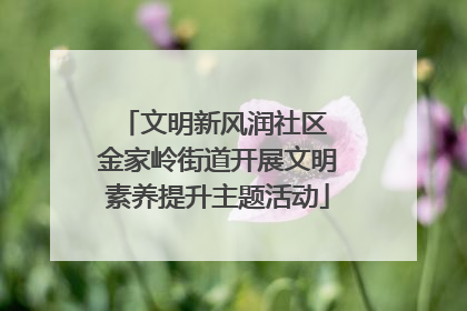 文明新风润社区 金家岭街道开展文明素养提升主题活动