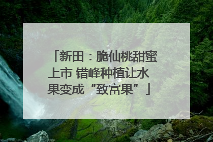 新田：脆仙桃甜蜜上市 错峰种植让水果变成“致富果”