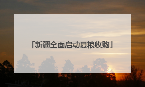 新疆全面启动夏粮收购