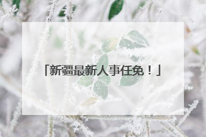 新疆最新人事任免！