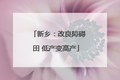新乡：改良障碍田 低产变高产