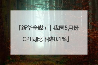 新华全媒+｜我国5月份CPI同比下降0.1%