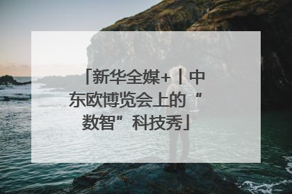 新华全媒+丨中东欧博览会上的“数智”科技秀