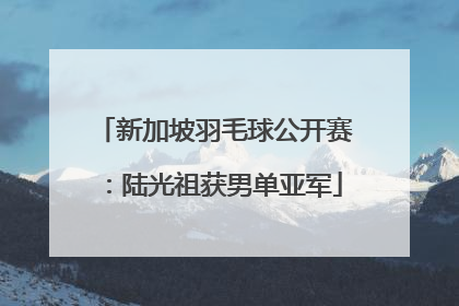 新加坡羽毛球公开赛：陆光祖获男单亚军