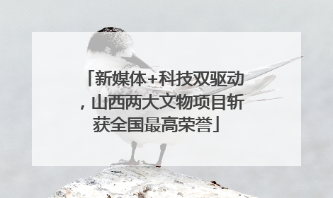 新媒体+科技双驱动，山西两大文物项目斩获全国最高荣誉