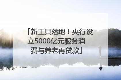 新工具落地！央行设立5000亿元服务消费与养老再贷款