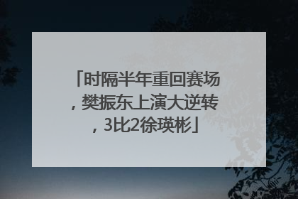 时隔半年重回赛场，樊振东上演大逆转，3比2徐瑛彬