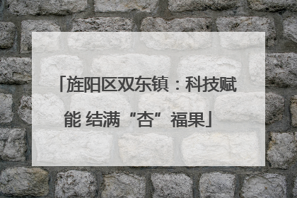旌阳区双东镇：科技赋能 结满“杏”福果