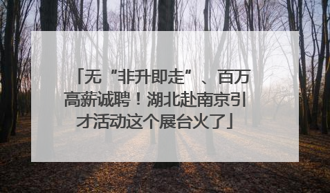 无“非升即走”、百万高薪诚聘！湖北赴南京引才活动这个展台火了