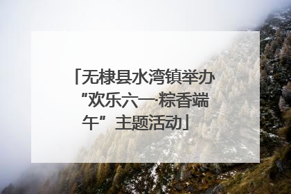 无棣县水湾镇举办“欢乐六一·粽香端午”主题活动