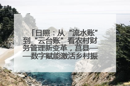 日照：从“流水账”到“云台账”看农村财务管理新变革，莒县——数字赋能激活乡村振兴“一池春水”