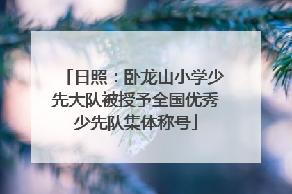 日照：卧龙山小学少先大队被授予全国优秀少先队集体称号
