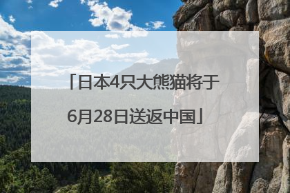 日本4只大熊猫将于6月28日送返中国