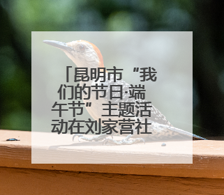 昆明市“我们的节日·端午节”主题活动在刘家营社区举办