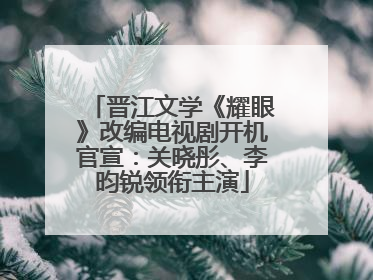 晋江文学《耀眼》改编电视剧开机官宣：关晓彤、李昀锐领衔主演