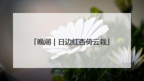 晚潮｜日边红杏倚云栽