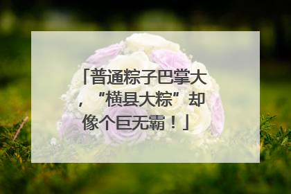 普通粽子巴掌大，“横县大粽”却像个巨无霸！