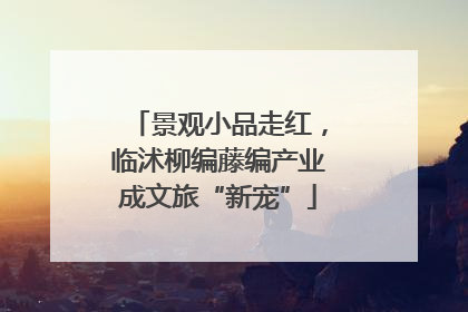 景观小品走红，临沭柳编藤编产业成文旅“新宠”