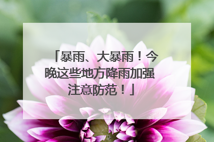 暴雨、大暴雨！今晚这些地方降雨加强 注意防范！