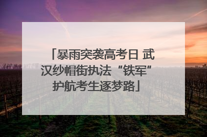 暴雨突袭高考日 武汉纱帽街执法“铁军”护航考生逐梦路