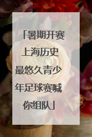 暑期开赛 上海历史最悠久青少年足球赛喊你组队