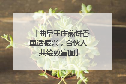 曲阜王庄煎饼香里话振兴，合伙人共绘致富图