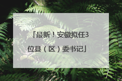 最新！安徽拟任3位县（区）委书记