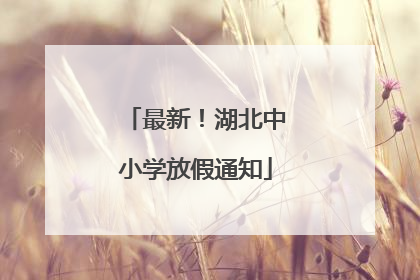 最新！湖北中小学放假通知