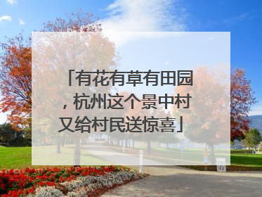 有花有草有田园，杭州这个景中村又给村民送惊喜