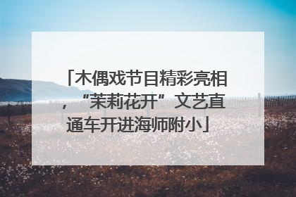 木偶戏节目精彩亮相，“茉莉花开”文艺直通车开进海师附小