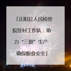 正阳县人民检察院驻村工作队：助力“三夏”生产 确保粮食安全