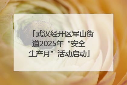武汉经开区军山街道2025年“安全生产月”活动启动